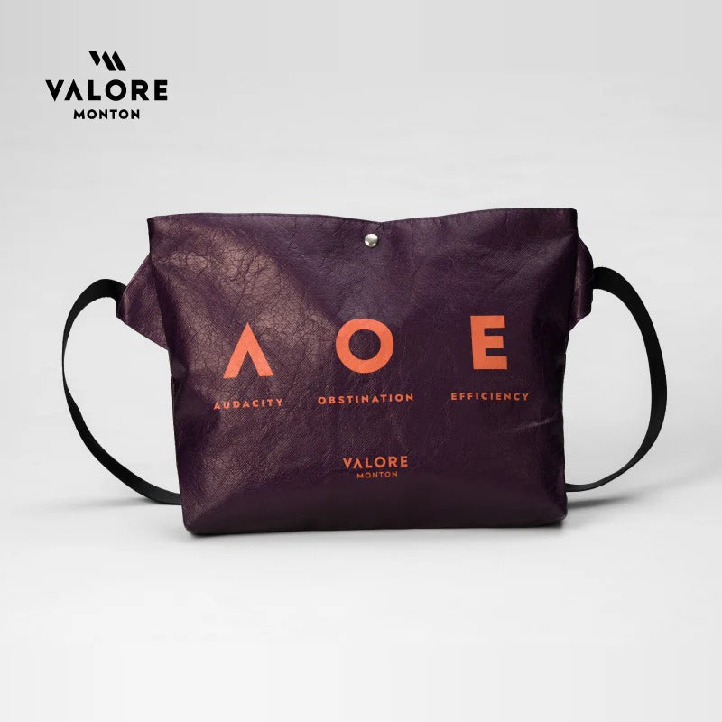 Valore Musette Bag Cycling