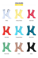 2023 DAY SERIES SOCKS